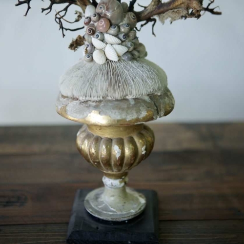 Gorgonia italiana sobre peana de coral   Florentina sXVIII
