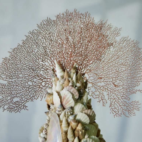 Gorgonia  sobre corales y conchas toscanas sobre peana Florentina s.XVIII